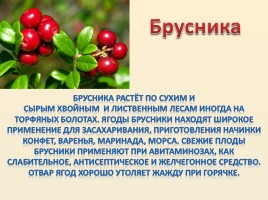 Лесные ягоды Болотнинского района, слайд 5