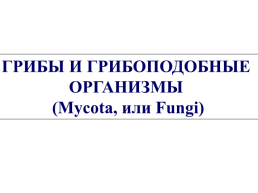 Грибы и грибоподобные организмы (mycota, или fungi), слайд 1