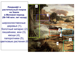 Грибы и грибоподобные организмы (mycota, или fungi), слайд 13