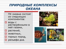 Природные комплексы суши и океана, слайд 10