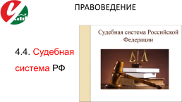 Лекция 4. Каковы основы конституционного строя россии ?, слайд 21
