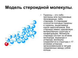 Модель стероидной молекулы, слайд 1