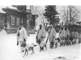 Домашние животные на фронтах Великой Отечественной войны, слайд 19