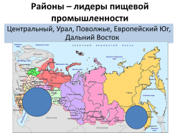Подготовка к огэ по географии. Вопрос 5:"Отрасли хозяйства России", слайд 94