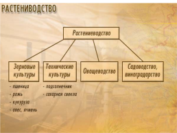 Подготовка к огэ по географии. Вопрос 5:"Отрасли хозяйства России", слайд 98
