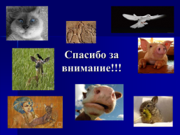 Одомашнивание животных, слайд 24
