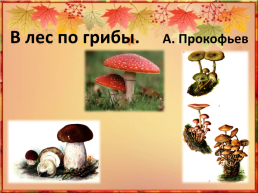 В лес по грибы, слайд 1