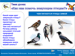 Помоги зимующим птицам, слайд 14