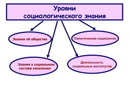 Введение в социологию, слайд 22