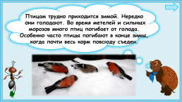 Презентация к уроку окружающего мира, 1 класс умк «Школа России». «Как зимой птицам помочь?», слайд 13