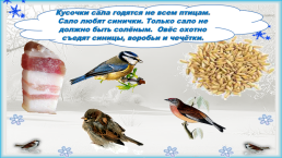 Презентация к уроку окружающего мира, 1 класс умк «Школа России». «Как зимой птицам помочь?», слайд 20