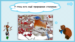 Презентация к уроку окружающего мира, 1 класс умк «Школа России». «Как зимой птицам помочь?», слайд 22