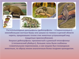 Флора и фауна палеозойской эры часть 2, слайд 7
