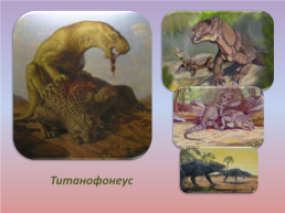 Флора и фауна палеозойской эры часть 2, слайд 9