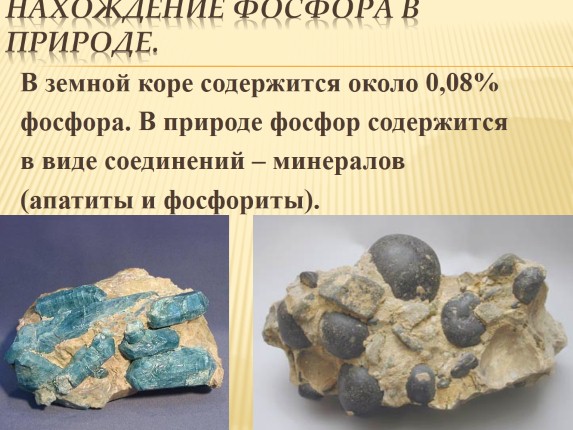 Презентация «Фосфор»