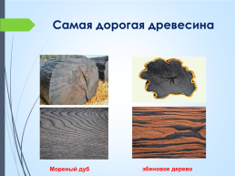 Пиломатериалы и древесные материалы, слайд 16