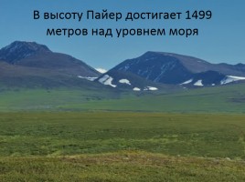 Природа Урала, слайд 19