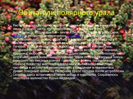 Природа Урала, слайд 25