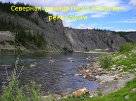 Природа Урала, слайд 29