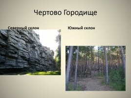 Природа Урала, слайд 45