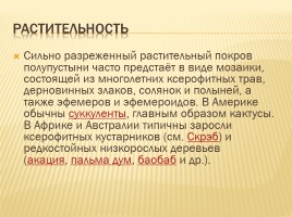 Полупустыни и пустыни, слайд 4