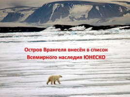 Арктика, слайд 33