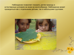Формы и методы работы с детьми по экологическому воспитанию (из опыта работы), слайд 3