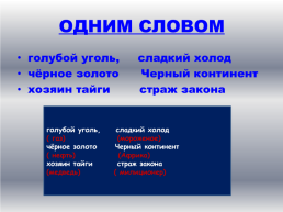 Неделя русского языка и литературы. «Умники и умницы» 10 класс, слайд 23