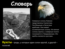 Природные комплексы России, слайд 16