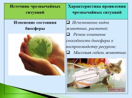 Состояние природной среды и жизнедеятельность человека, слайд 6