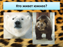 Свердловский зоопарк, слайд 18