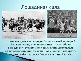 Верные помощники Великой Отечественной войны, слайд 10