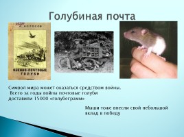 Верные помощники Великой Отечественной войны, слайд 15