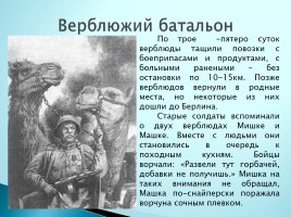 Верные помощники Великой Отечественной войны, слайд 16