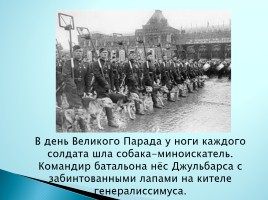 Верные помощники Великой Отечественной войны, слайд 6