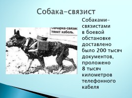 Верные помощники Великой Отечественной войны, слайд 7