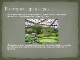 Ботанический сад, слайд 11