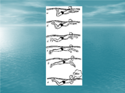 Техника плавания способом брасс, слайд 11