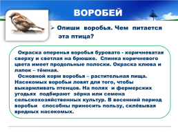 Готовимся к всероссийской проверочной работе окружающий мир 4 класс мой регион - Свердловская область., слайд 25