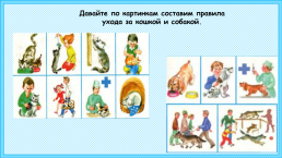 К уроку окружающего мира, 1 класс умк «школа россии». «Почему мы любим кошек и собак?», слайд 11