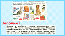 К уроку окружающего мира, 1 класс умк «школа россии». «Почему мы любим кошек и собак?», слайд 13