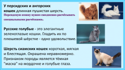К уроку окружающего мира, 1 класс умк «школа россии». «Почему мы любим кошек и собак?», слайд 4