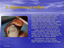 Биология ядовитые животные, слайд 5