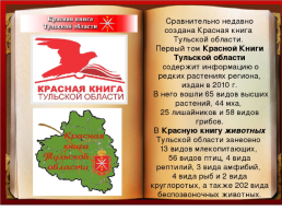Красная книга Тульской области, слайд 10