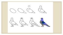 Рисуем птиц, слайд 3