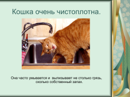 Номинация: «о кошках всерьёз», слайд 14