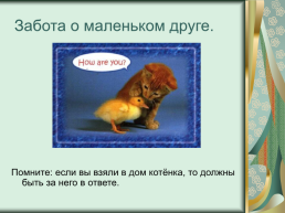 Номинация: «о кошках всерьёз», слайд 24