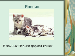 Номинация: «о кошках всерьёз», слайд 8