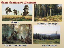 Сочинение по картине Ивана Ивановича Iишкина «утро в сосновом лесу», слайд 5