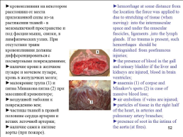 Травматология (общие вопросы), слайд 53